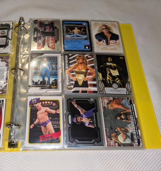 WWE Wrestling Legends Trading Cards Binder Collection 🏆 100 WWE Cards Lot - Picture 3 of 11